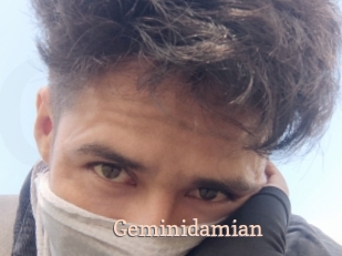 Geminidamian