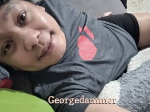 Georgedammer