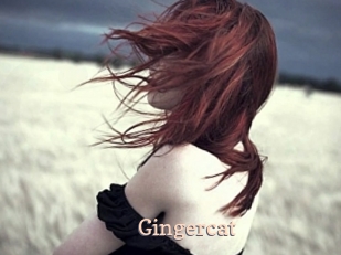 Gingercat
