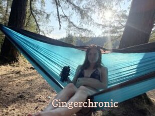 Gingerchronic