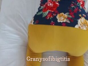 Granysofibigtitis