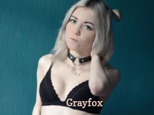 Grayfox