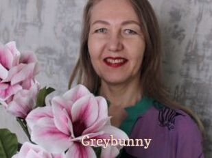 Greybunny