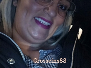 Grosseins88