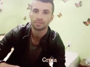 Gruia