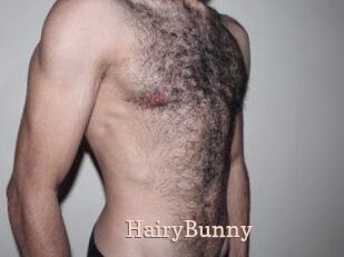 HairyBunny
