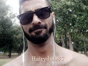 Hairydude87