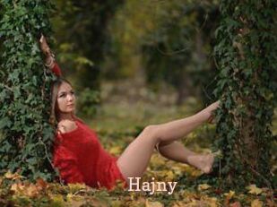 Hajny