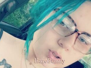 HareBunny