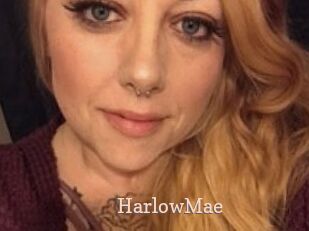 HarlowMae