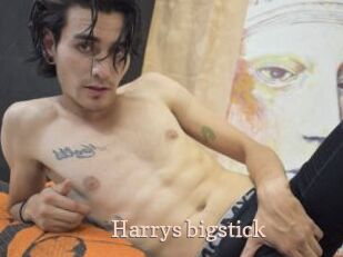 Harrys_bigstick