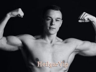 HeilgarVip