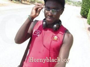 Hornyblackboy