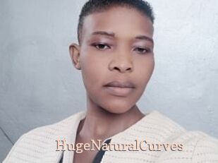 HugeNaturalCurves