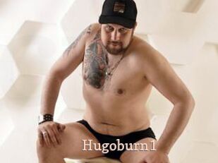 Hugoburn1