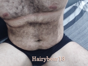 Hairybear18