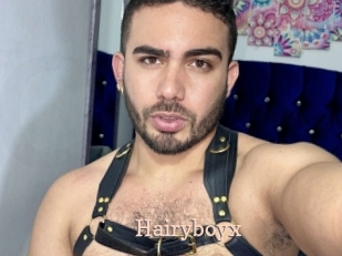 Hairyboyx