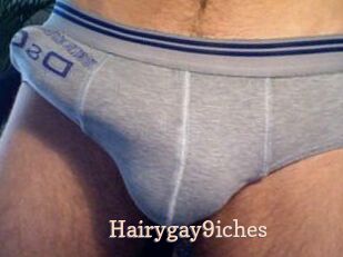 Hairygay9iches