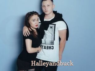Halleyandbuck