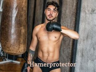Hamerprotector