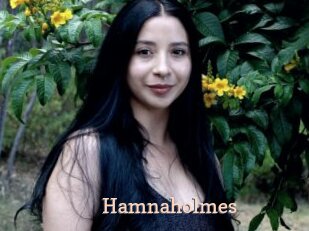 Hamnaholmes