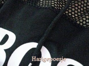 Harigepoesje