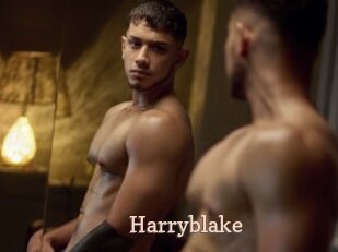 Harryblake
