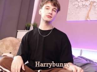 Harrybunny