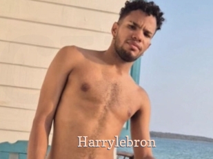 Harrylebron