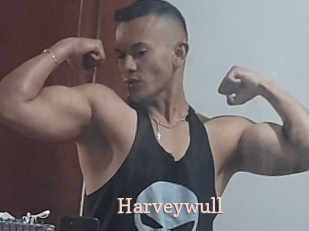 Harveywull