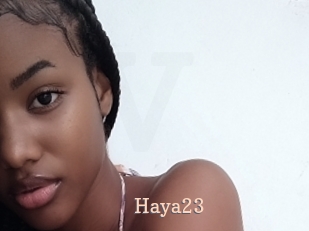 Haya23