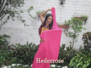 Hederrose