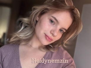 Heidynemzin