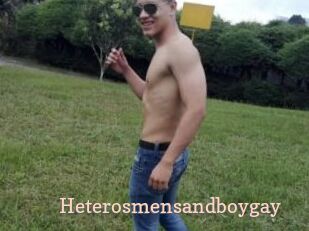 Heterosmensandboygay