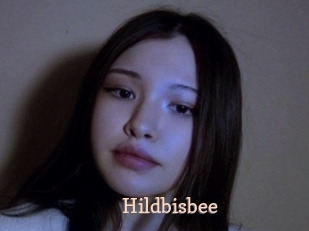 Hildbisbee