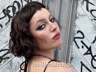 Hollisaldridge