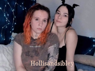 Hollisandsibley