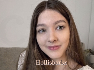 Hollisbarks
