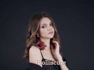 Holliscure