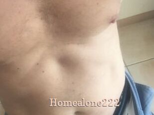 Homealone222
