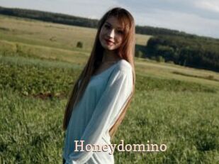 Honeydomino