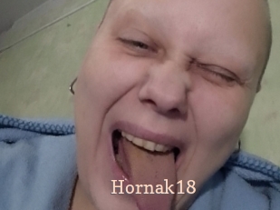 Hornak18