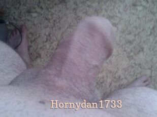 Hornydan1733