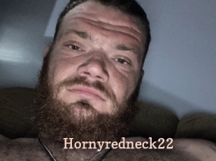 Hornyredneck22