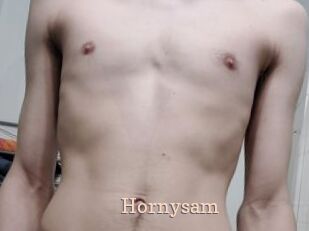 Hornysam