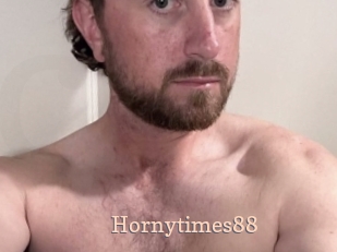 Hornytimes88