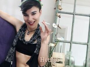 Hotfibi