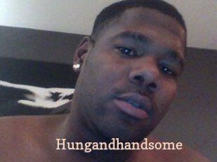 Hungandhandsome