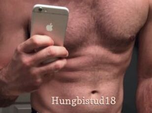 Hungbistud18