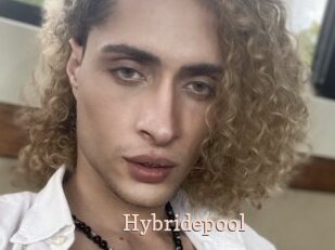 Hybridepool